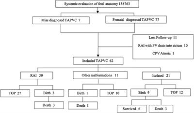 Prenatal diagnosis and postnatal verification in fetuses with total anomalous pulmonary venous connection